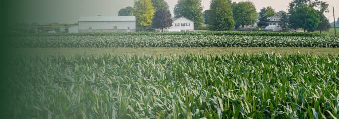 Agricultural and sideline products